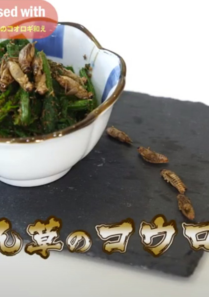 【昆虫食】ほうれん草のコオロギ和え-レシピのメイン写真