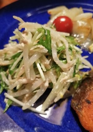もやしと水菜のシャキシャキ簡単サラダ-レシピのメイン写真