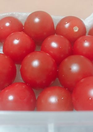 新鮮☆トマト保存方法-レシピのメイン写真