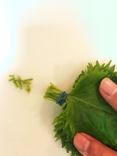 しその保存-レシピのメイン写真