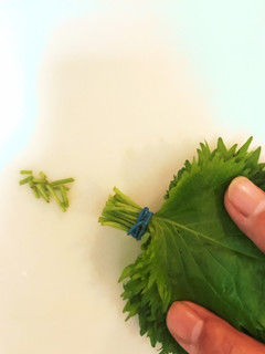 しその保存-レシピのメイン写真