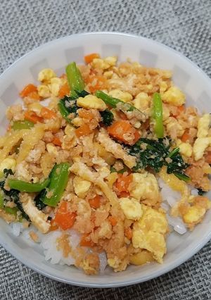 さけそぼろ丼-レシピのメイン写真