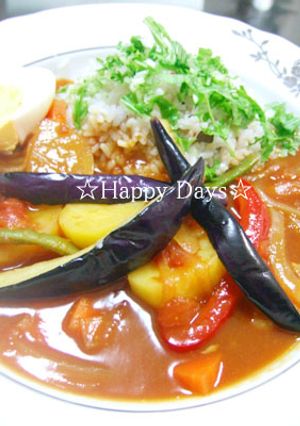 市販のルゥで簡単@おうちdeスープカレー-レシピのメイン写真