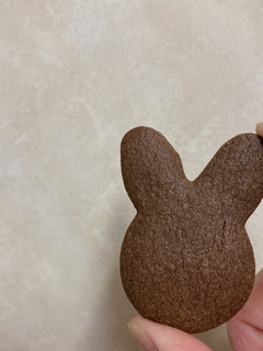 ココアクッキー-レシピのメイン写真