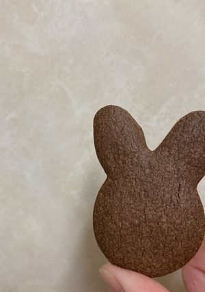 ココアクッキー-レシピのメイン写真