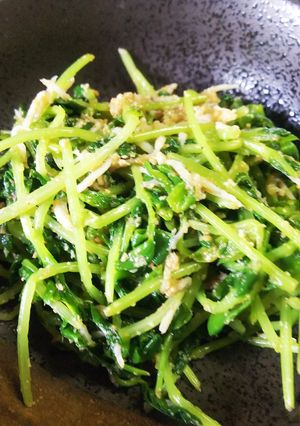 豆苗 と しらすの胡麻和え-レシピのメイン写真