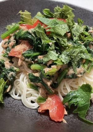 トマトほうれん草ツナそうめん-レシピのメイン写真
