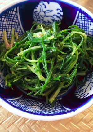 おかひじきの辛子和え-レシピのメイン写真