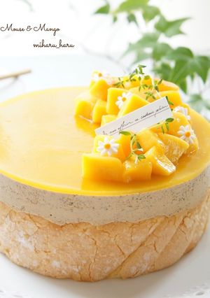 紅茶のムースケーキ-レシピのメイン写真