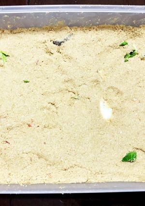 クズ野菜は間違い！新説・ぬか床の作り方-レシピのメイン写真