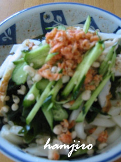 何でものせちゃえ♪冷やしうどん-レシピのメイン写真