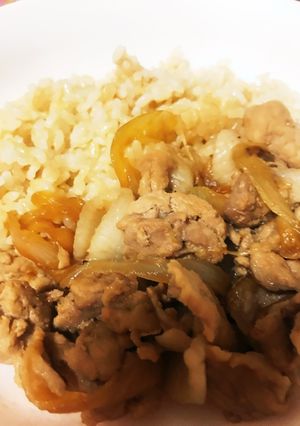一人暮らしの豚丼-レシピのメイン写真