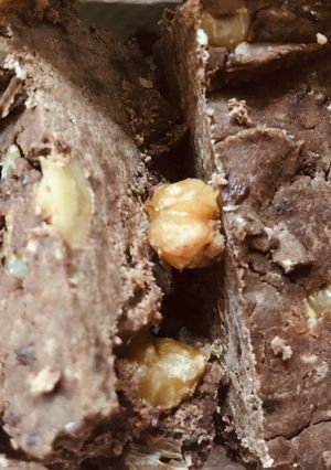濃厚チョコケーキ-レシピのメイン写真
