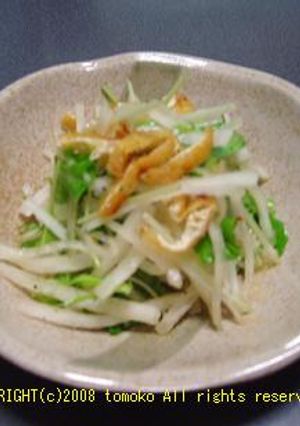 水菜と大根のパリパリサラダ-レシピのメイン写真