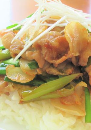 ガッツリ飯！ 豚バラ肉のニラにんにく丼-レシピのメイン写真