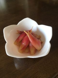ミョウガの甘酢漬け-レシピのメイン写真