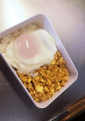 高タンパク　豆腐のドライカレー-レシピのメイン写真