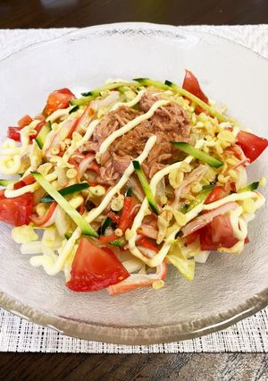 no:no家のサラダうどん♬*.◦-レシピのメイン写真