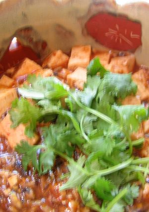 菜食麻婆豆腐-レシピのメイン写真