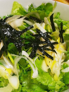 パクチーとレタスでチョレギサラダ風-レシピのメイン写真