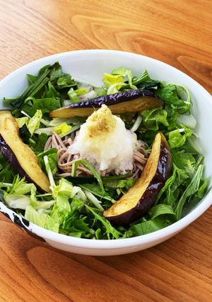 野菜いっぱい！揚げナスおろしサラダそば！-レシピのメイン写真