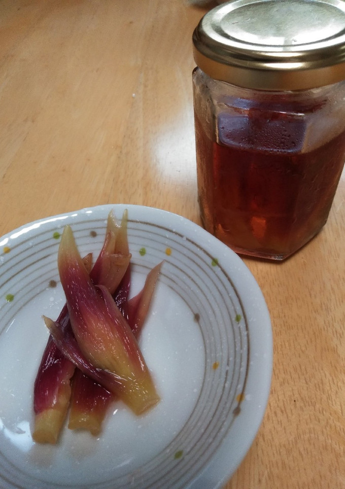 みょうがの甘酢漬け-レシピのメイン写真