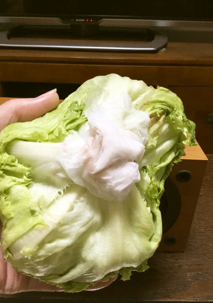 超簡単！レタスを長持ちさせる方法-レシピのメイン写真