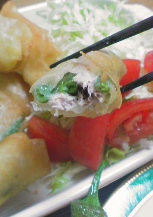 居酒屋風☆お魚とチーズとインゲンの春巻き-レシピのメイン写真