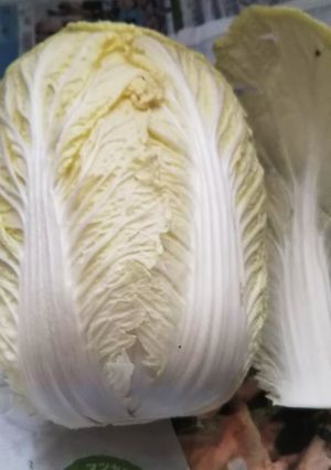 白菜の保存方法-レシピのメイン写真