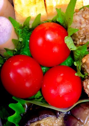 お弁当の隙間にミニトマトを大葉に乗せて♪-レシピのメイン写真