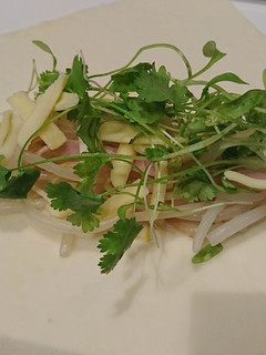 もやし de 春巻き-レシピのメイン写真