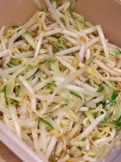 やみつき♪もやしときゅうりのナムル-レシピのメイン写真