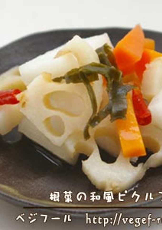 根菜の和風ピクルス-レシピのメイン写真