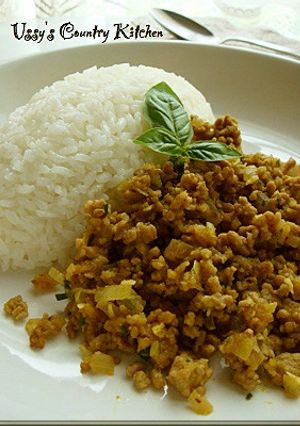 ドライカレー☆ラクサ（Laksa）風味-レシピのメイン写真