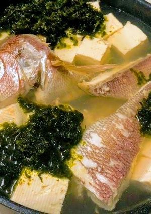 屋久島のオオヒメと長島のアオサでマース煮-レシピのメイン写真