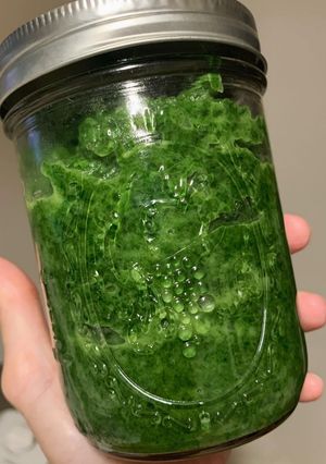 ほうれん草ペースト-レシピのメイン写真