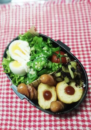 パパ弁当♡ダイエット弁当２日目。-レシピのメイン写真