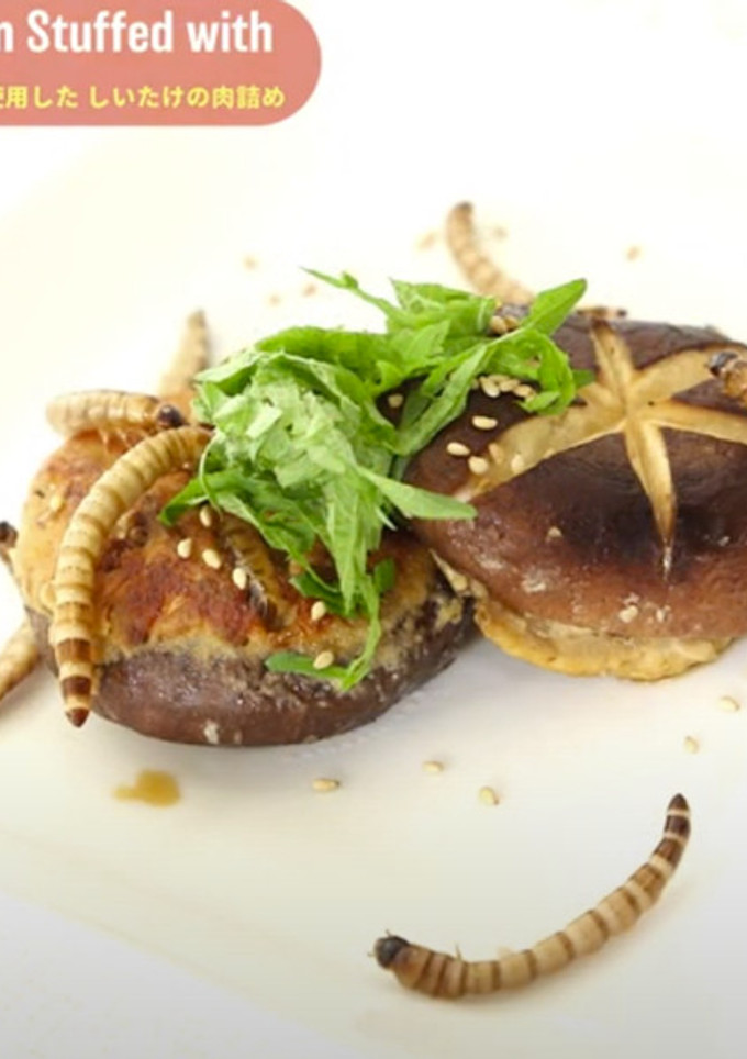3種の昆虫肉のしいたけの肉詰め-レシピのメイン写真