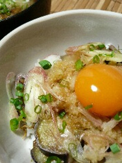 夏のさっぱり乗っけご飯-レシピのメイン写真