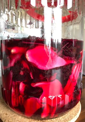 【覚書】生姜天用新生姜の梅酢漬け-レシピのメイン写真