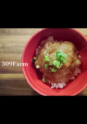 どんな魚も絶品の漬け丼に★漬けダレ-レシピのメイン写真