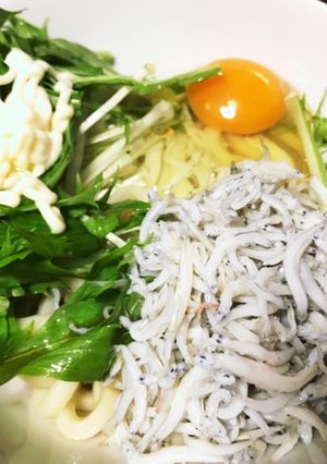 シラスと水菜のサラダうどん-レシピのメイン写真