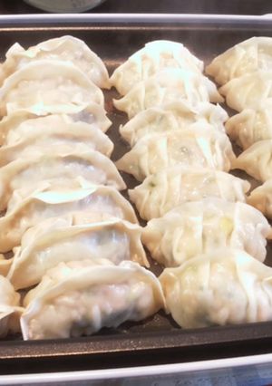 大きめしそ餃子-レシピのメイン写真