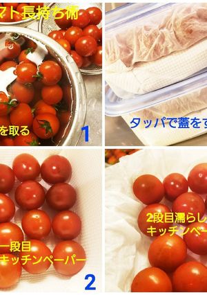プチトマト長持ち-レシピのメイン写真
