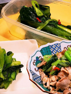 やみつき小松菜塩漬け✩簡単作り置き保存食-レシピのメイン写真