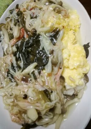 高菜餡掛け豆腐-レシピのメイン写真