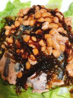 鯖缶14☆キャベツ納豆もずくでダイエット-レシピのメイン写真