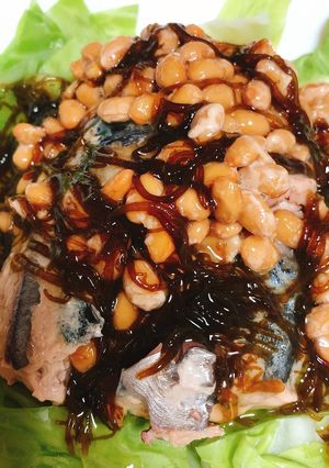 鯖缶14☆キャベツ納豆もずくでダイエット-レシピのメイン写真