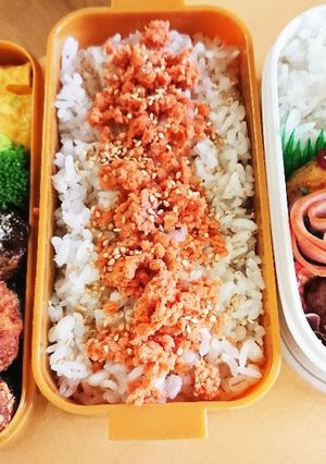 高３男子のお弁当とお父さん-レシピのメイン写真