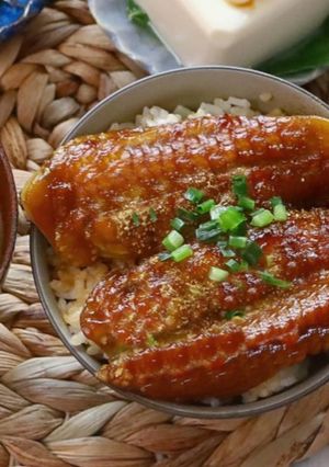 茄子で!なんちゃってうなぎ丼-レシピのメイン写真
